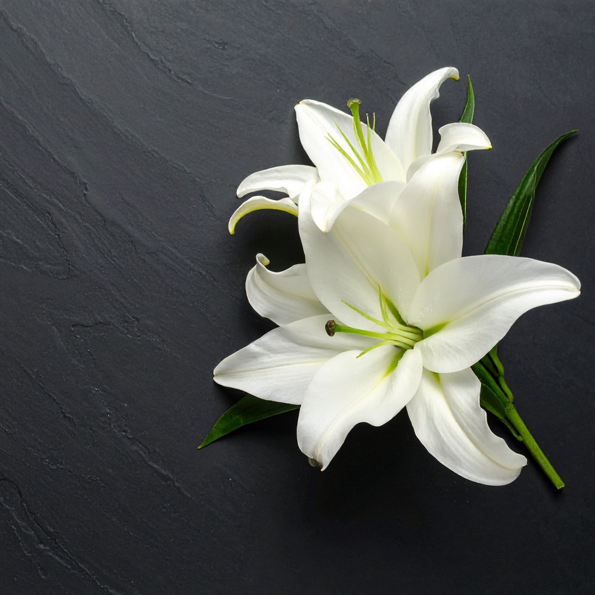 Bereavement House Clearance: A Compassionate Guide for Families